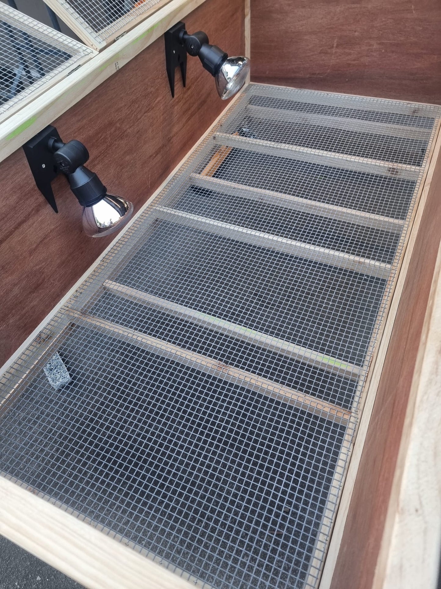Brooder large
