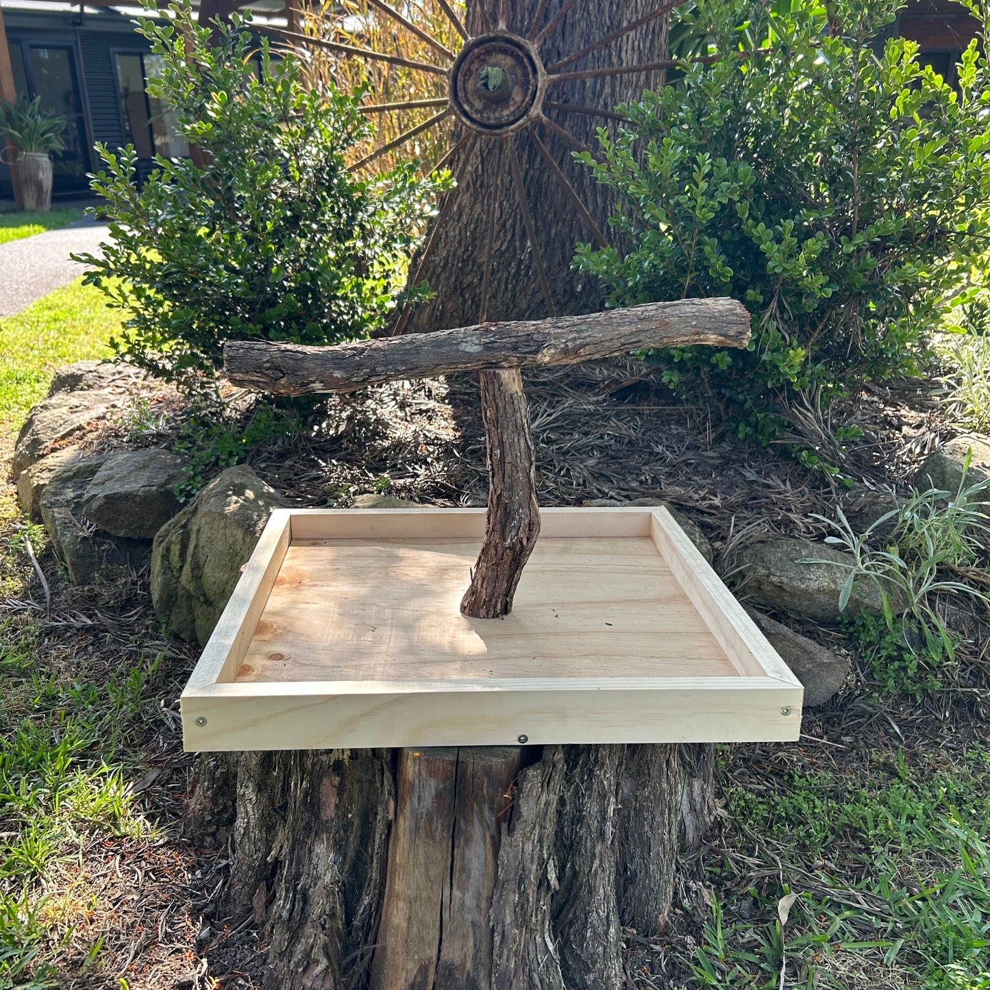 Bird stand training perch