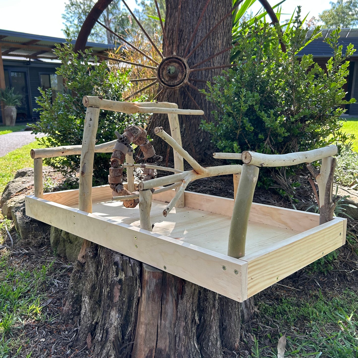 Bird Gym Stand and Toy