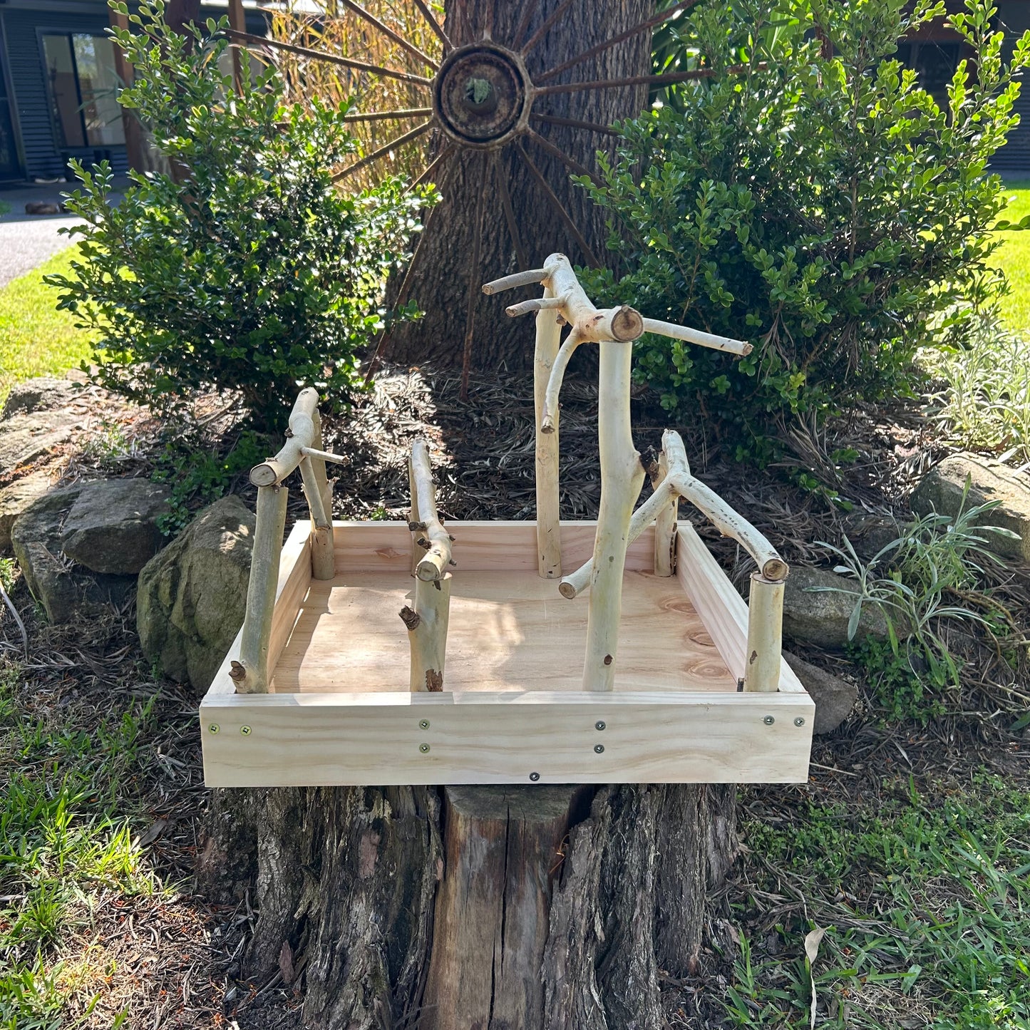 Bird Gym Stand and Toy