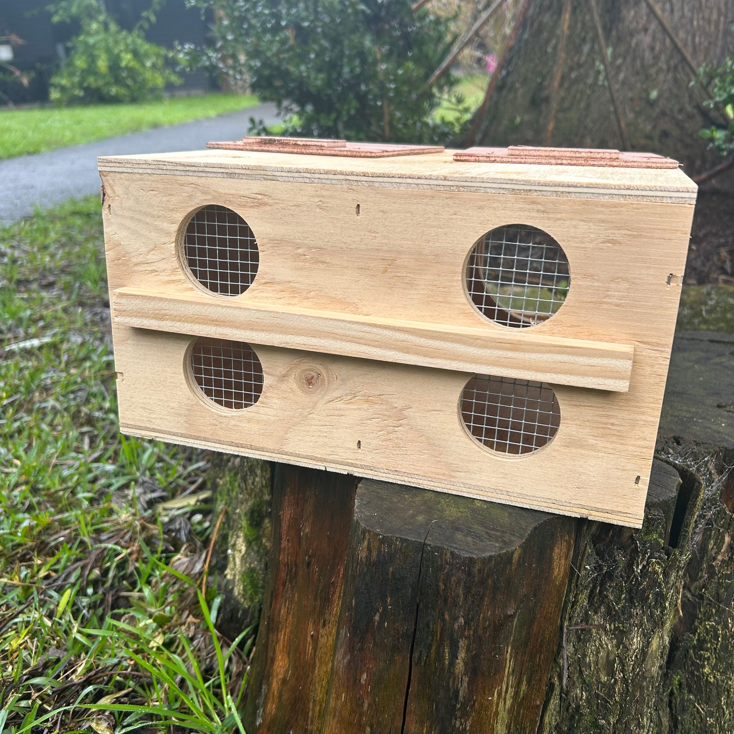 Bird Transport Airline Carrier Cage Double
