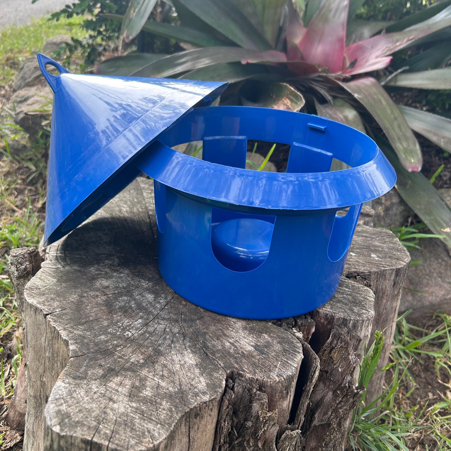 Pigeon Chicken Poultry Feeder Medium, 6 Hole