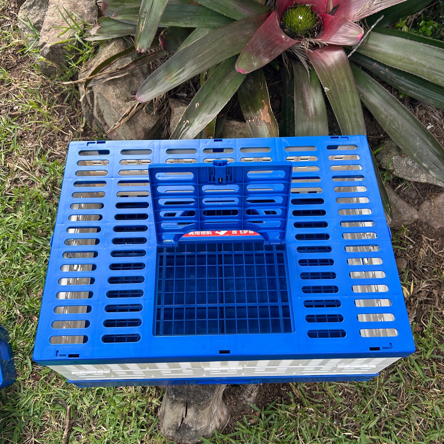 Pigeon Basket Plastic