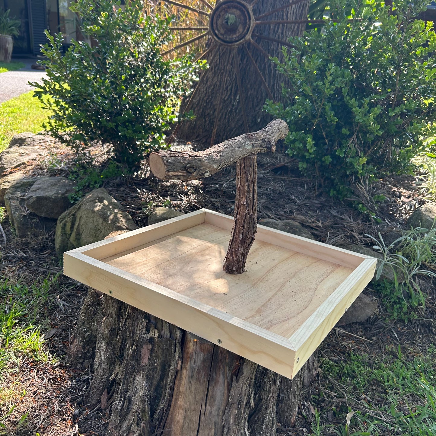 Bird stand training perch