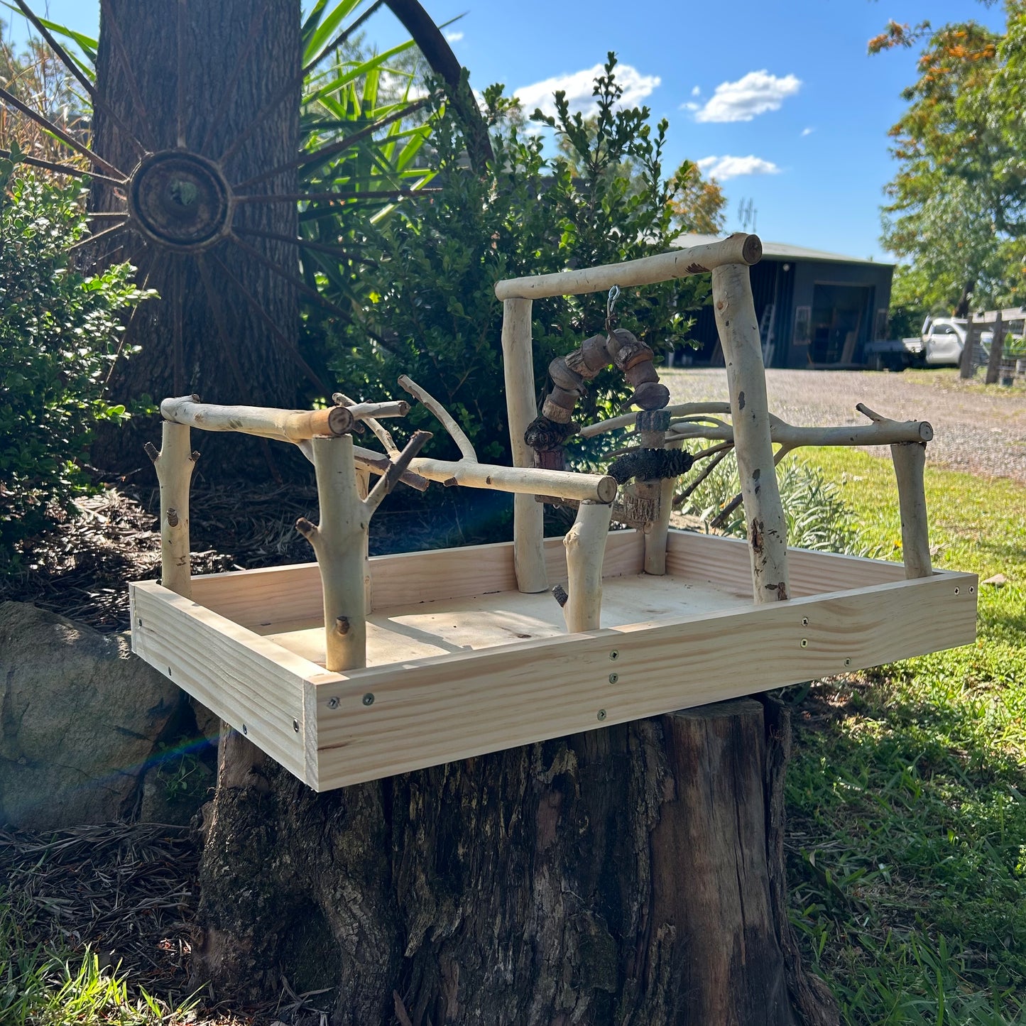 Bird Gym Stand and Toy