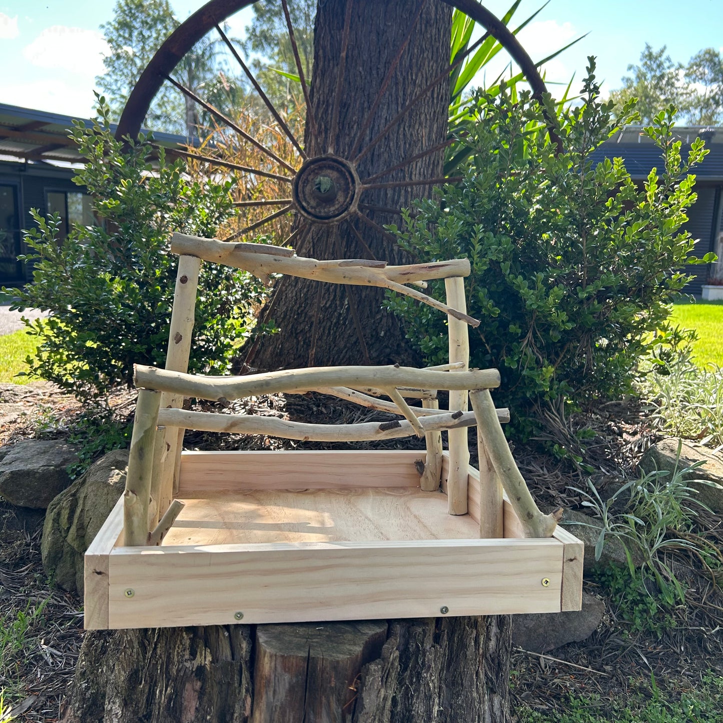 Bird Gym Stand and Toy