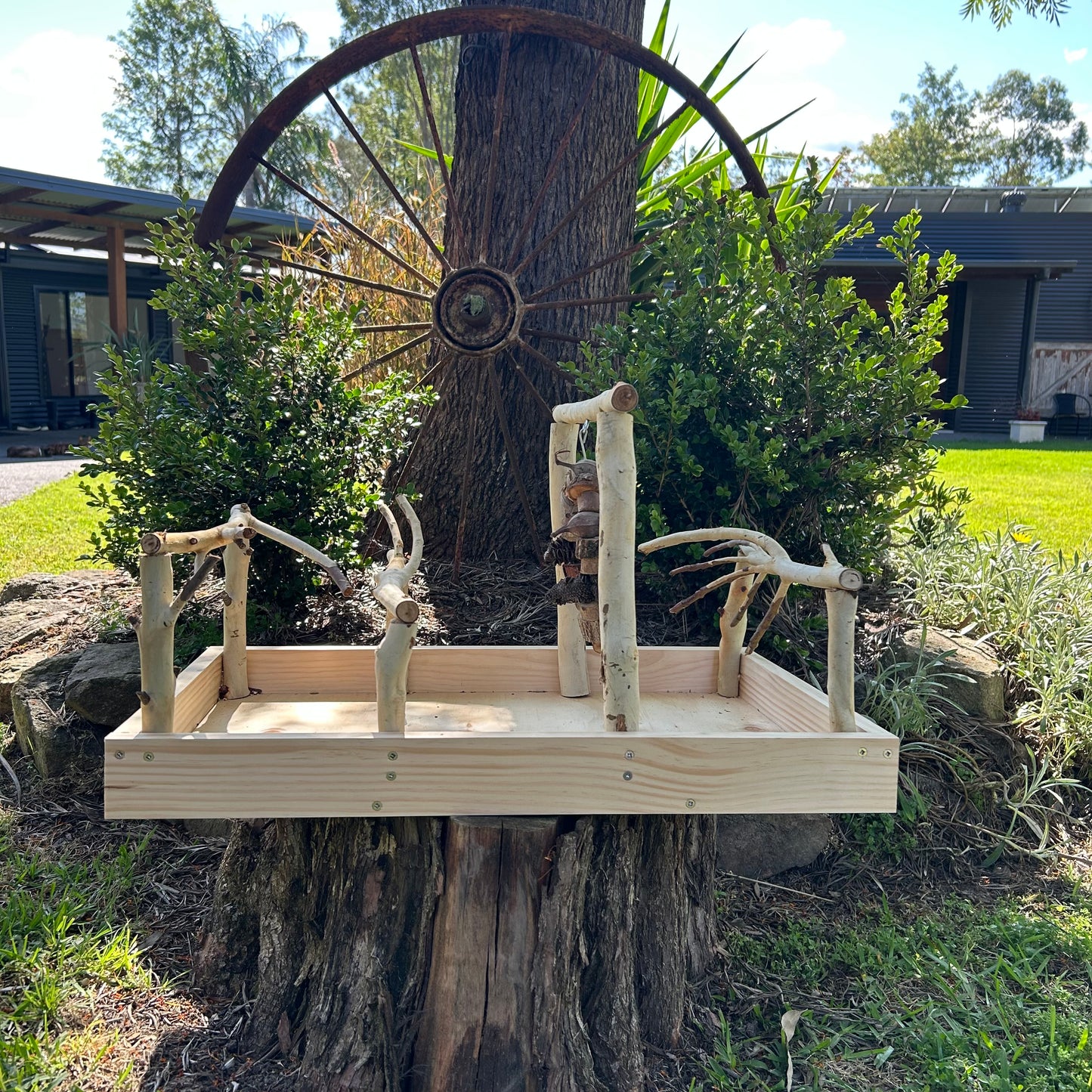 Bird Gym Stand and Toy
