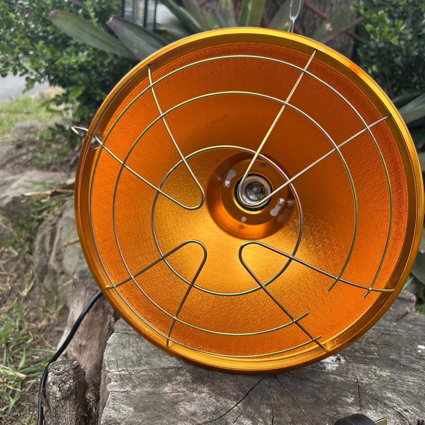 Brooder Heat Lamp