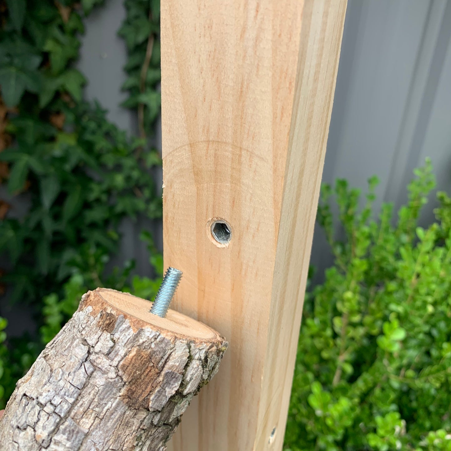 Bird stand 3 perches