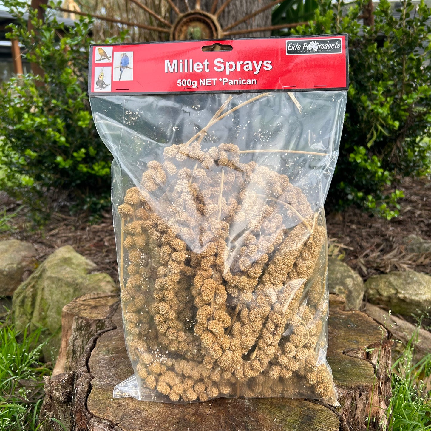 Millet Spray Large 500g