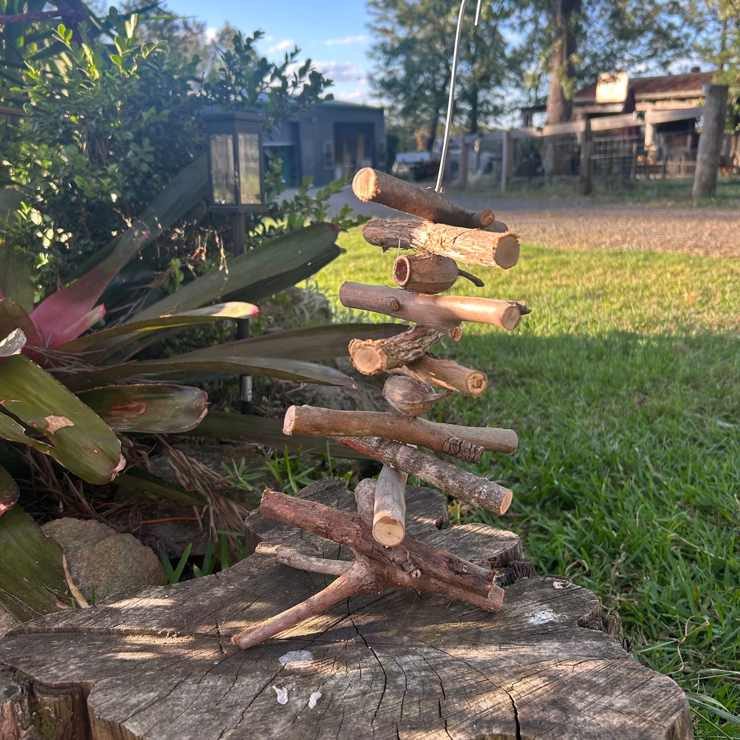 Natural Bird Toy Jungle Climb