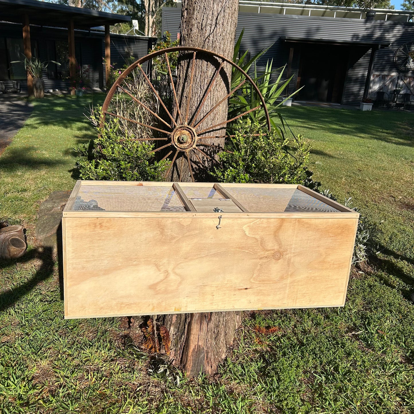 Brooder Box Large