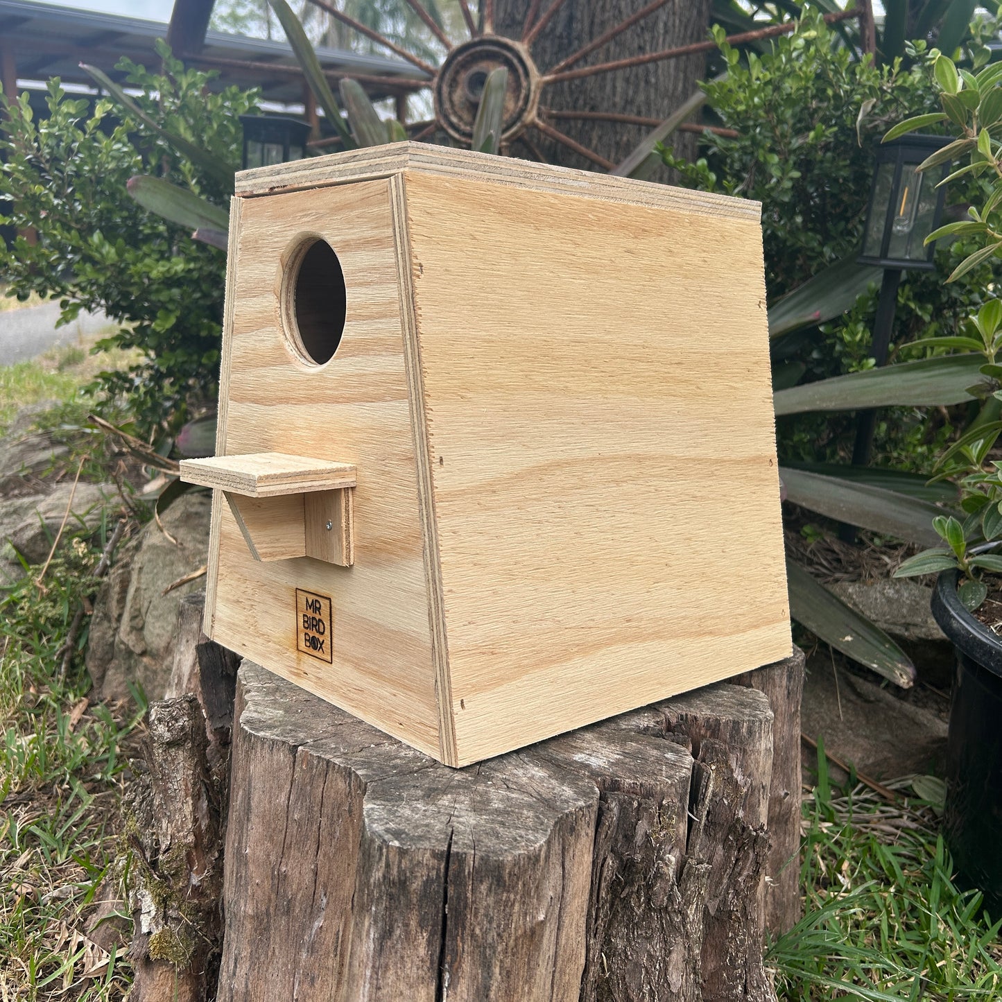 Parrot nest box - medium
