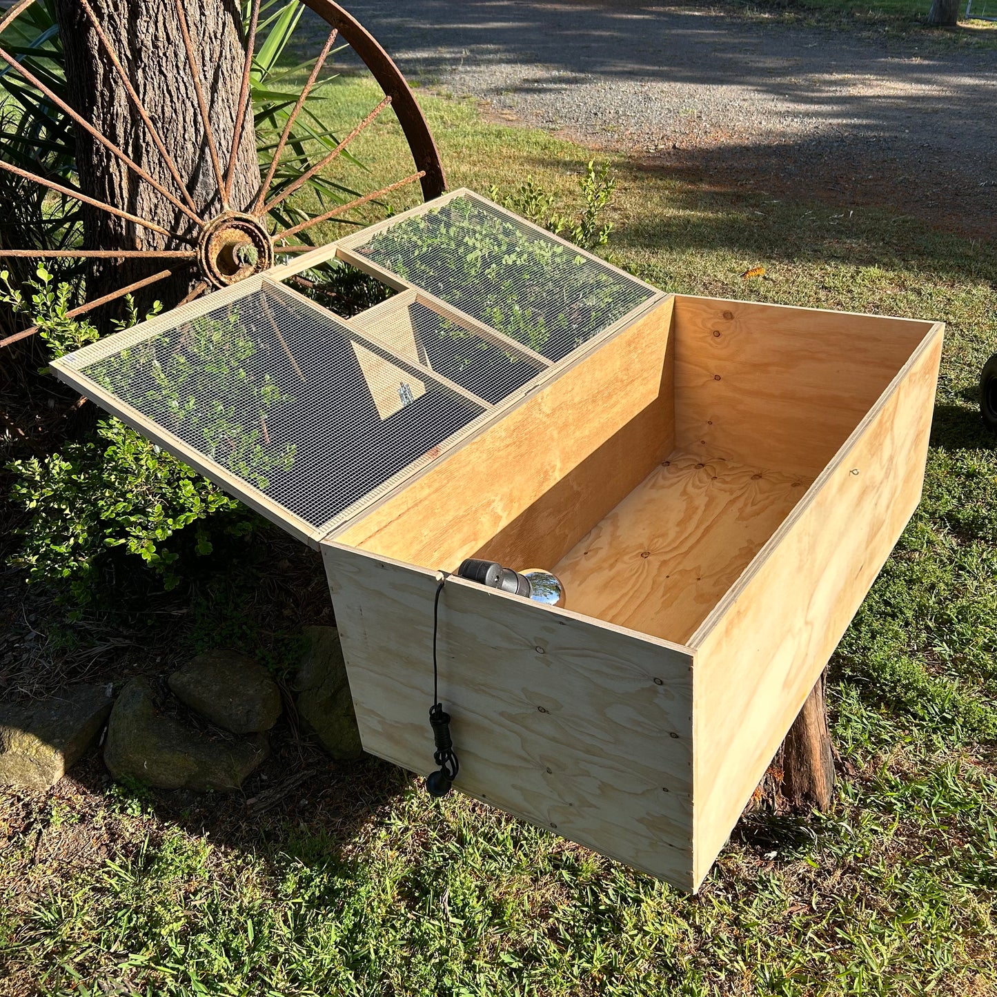 Brooder Box Large