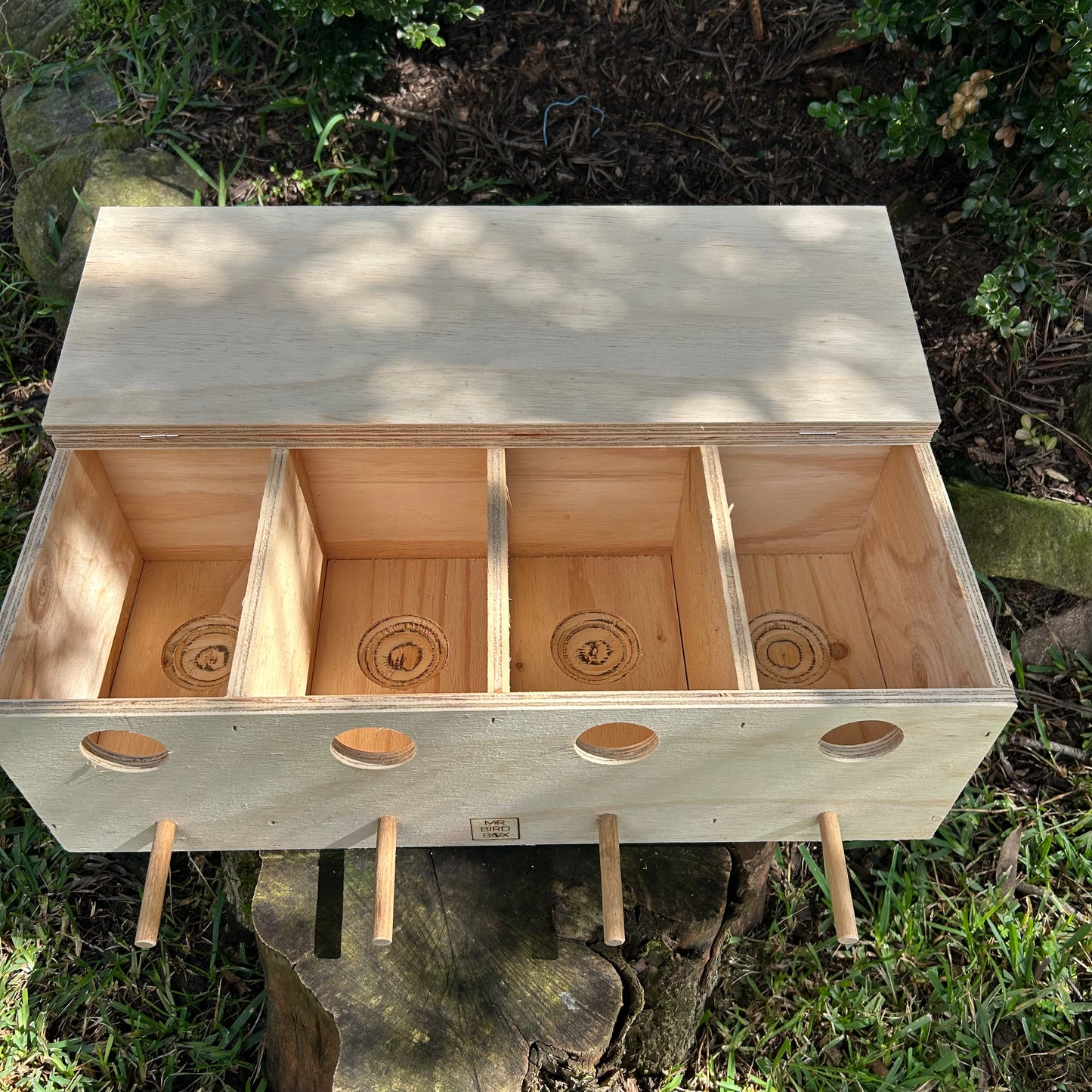 Budgie nest box