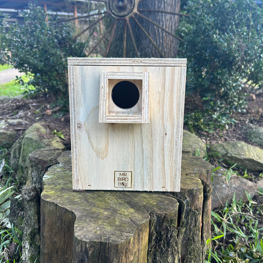 Parrot Nest Box Small - Lovebird