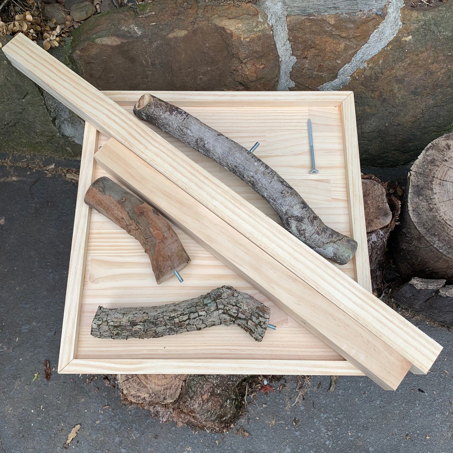 Bird stand 3 perches