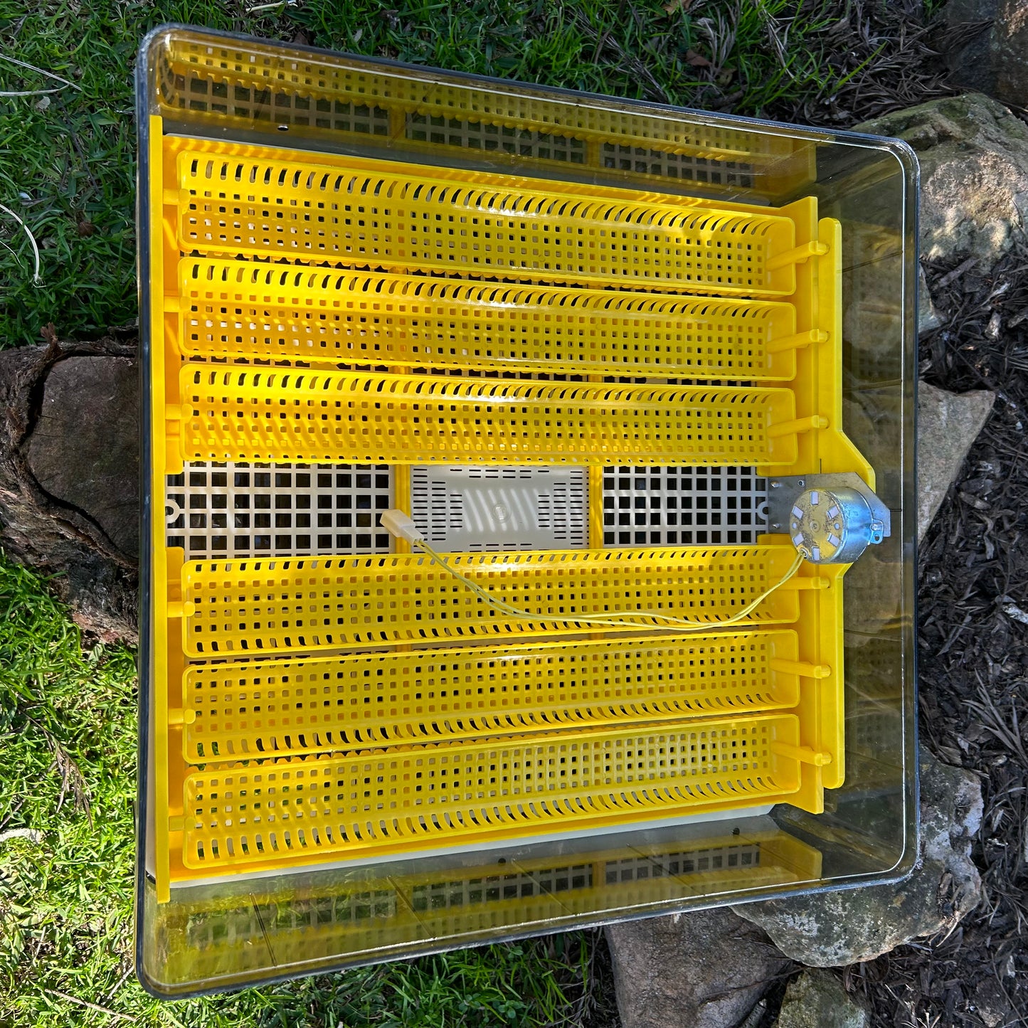 Auto Tilt Incubator 48 Egg