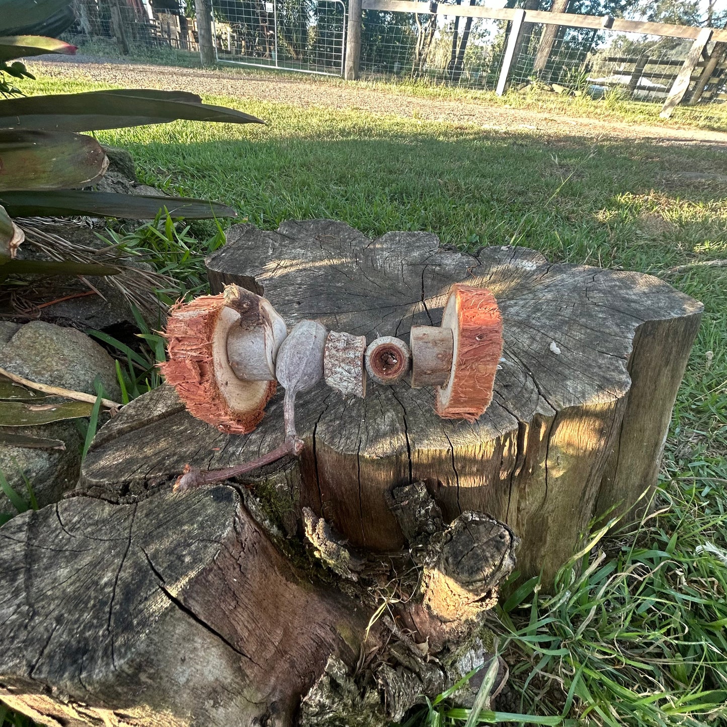 Natural Bird Toy Dumbell