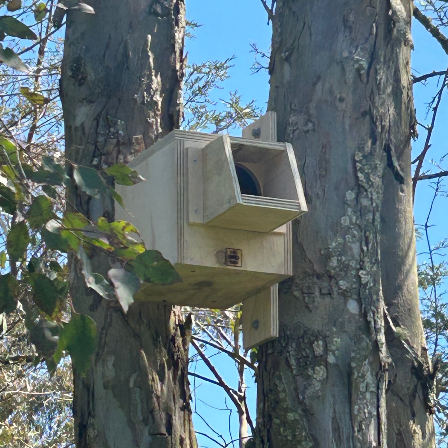 Kookaburra Nest Box Exterior Use
