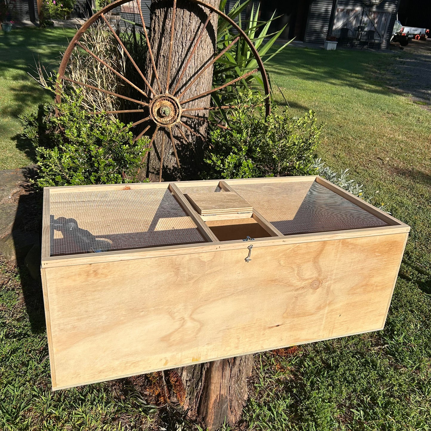 Brooder Box Large