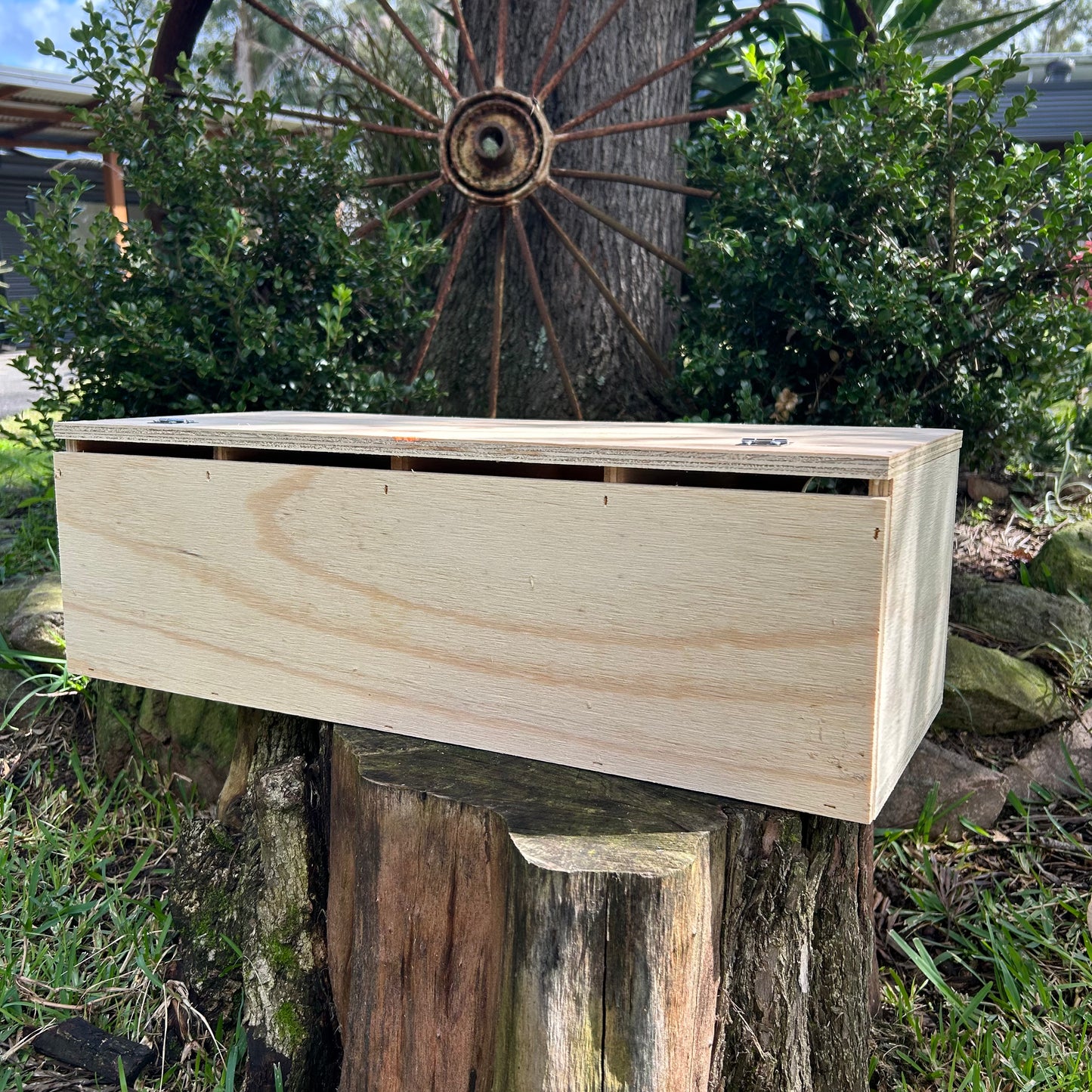 Budgie nest box