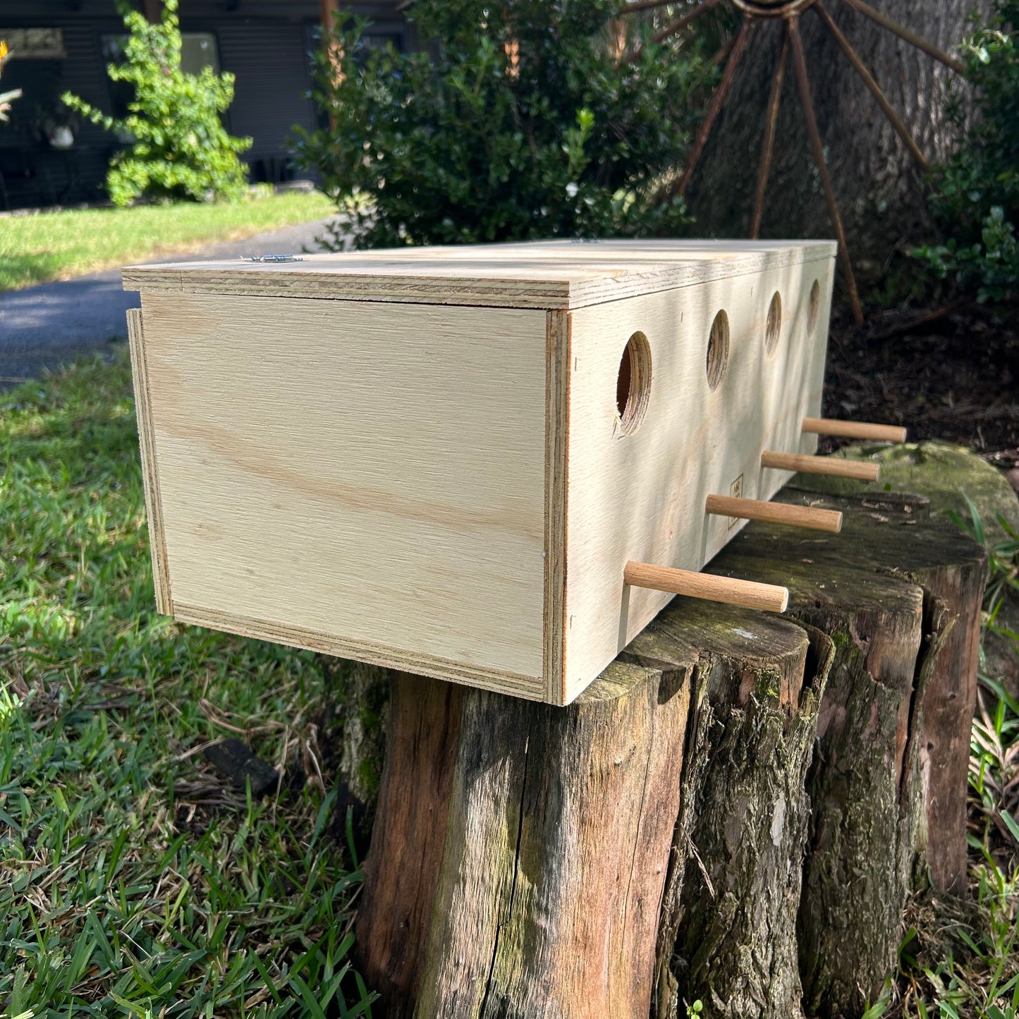 Budgie nest box