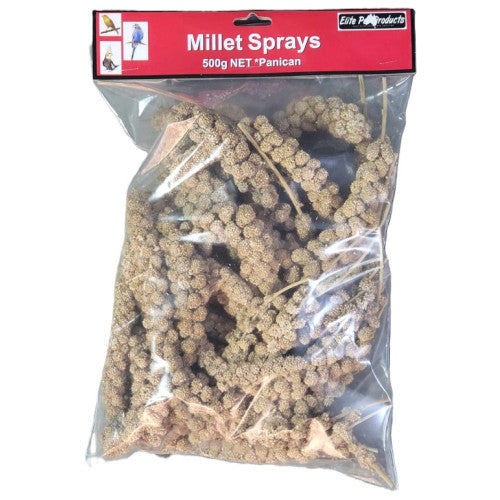 Millet Spray Large 500g or 1kg