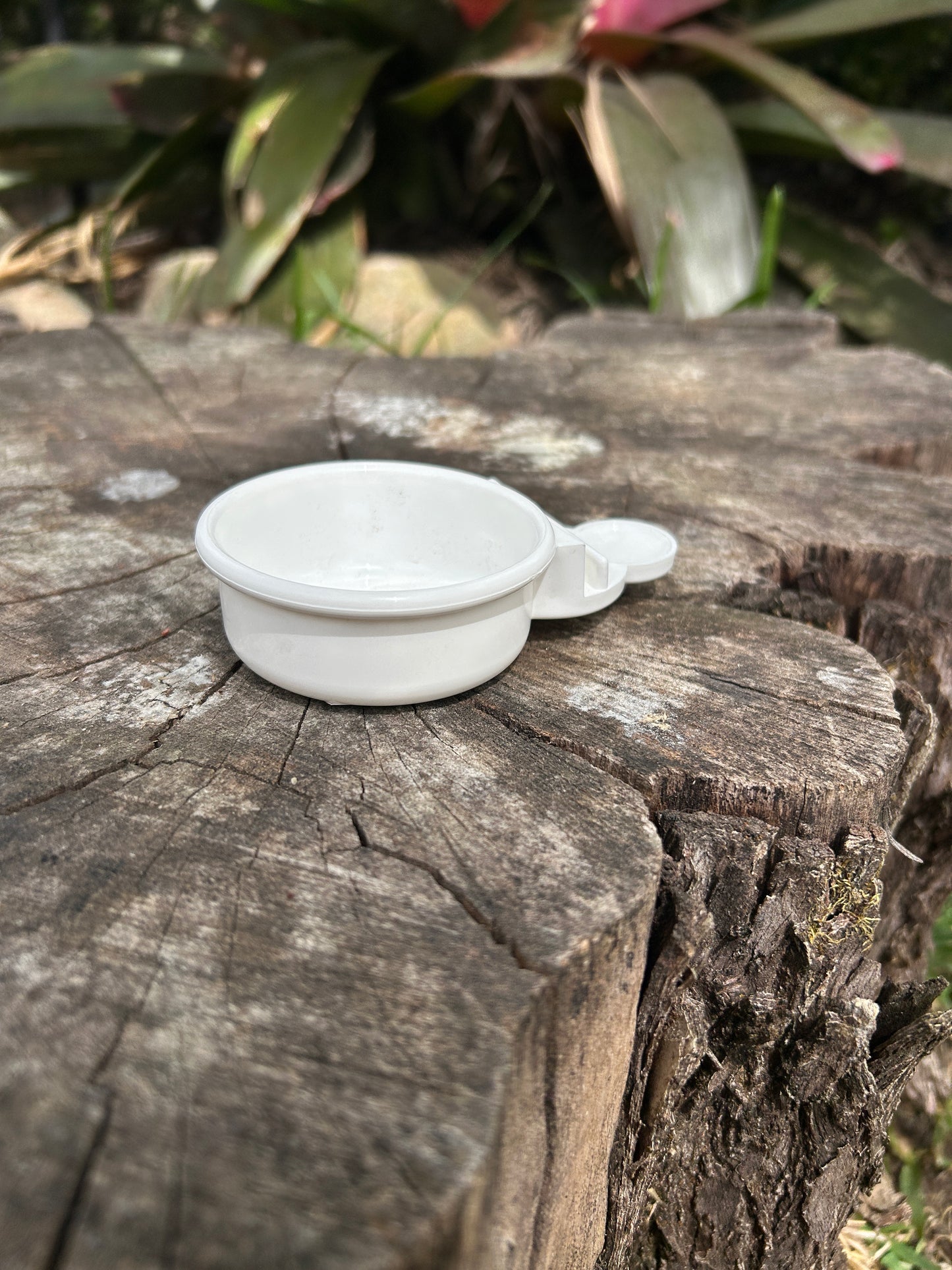 Egg and Biscuit Feeder