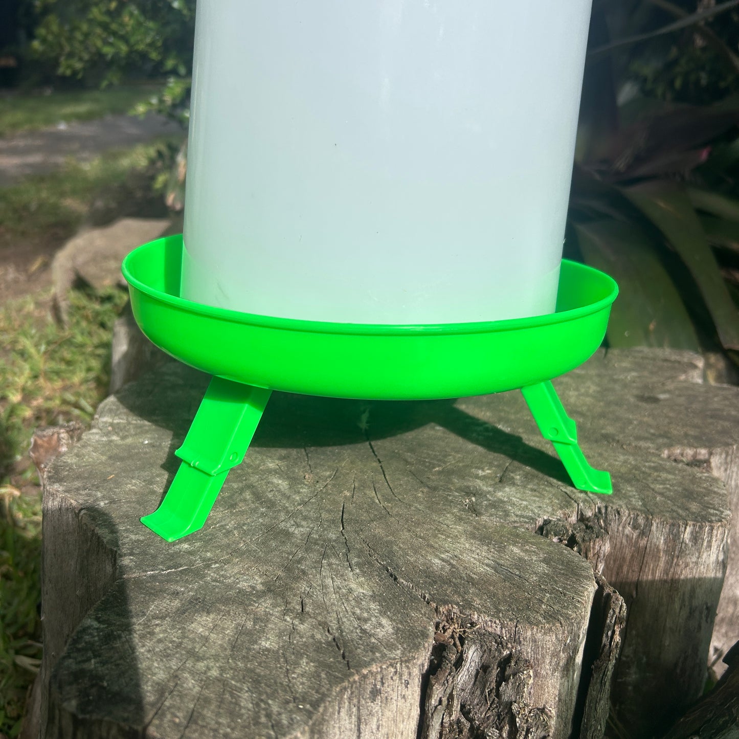 Poultry Drinker Green With Legs