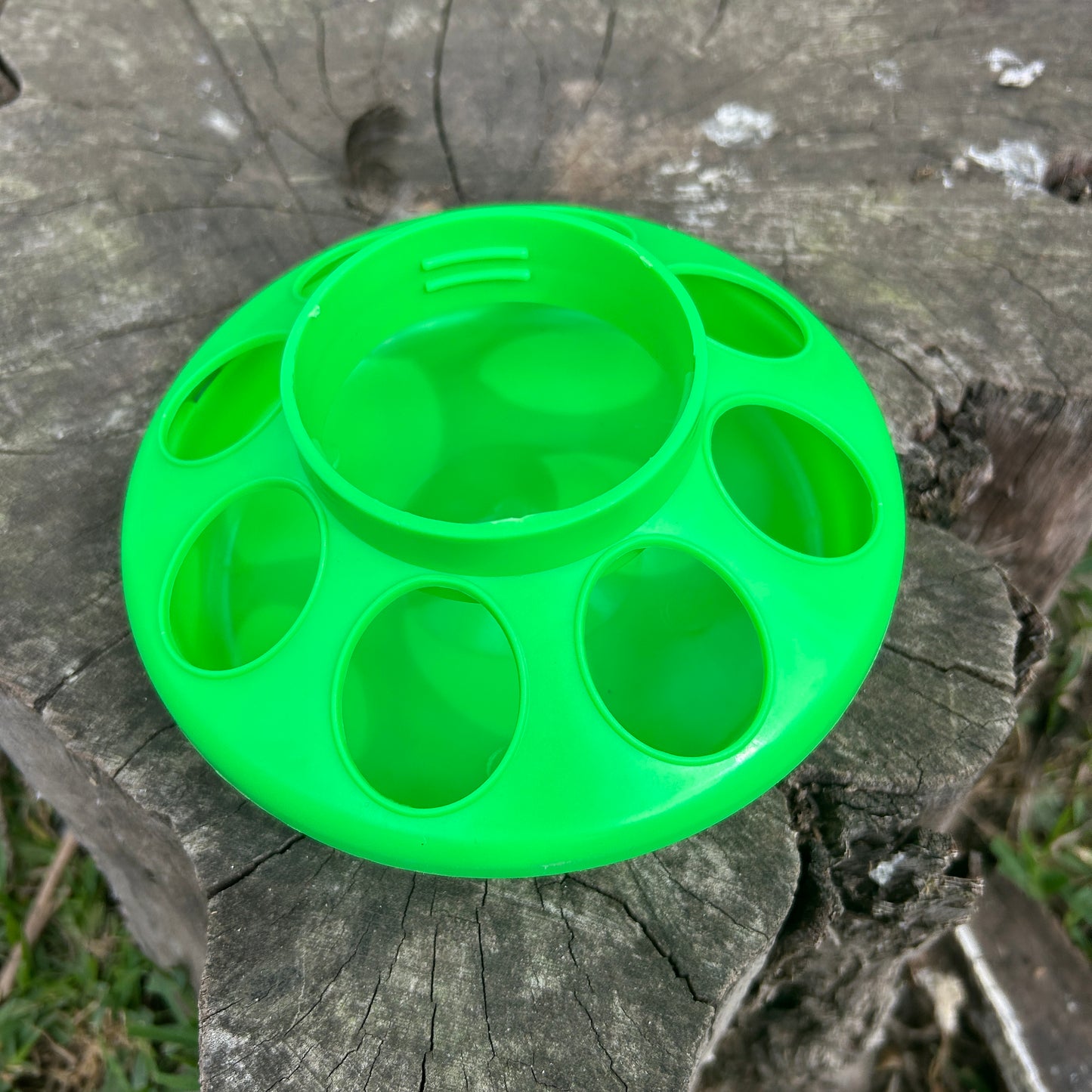 Poultry Quail Chick Feeder 8 Hole Green