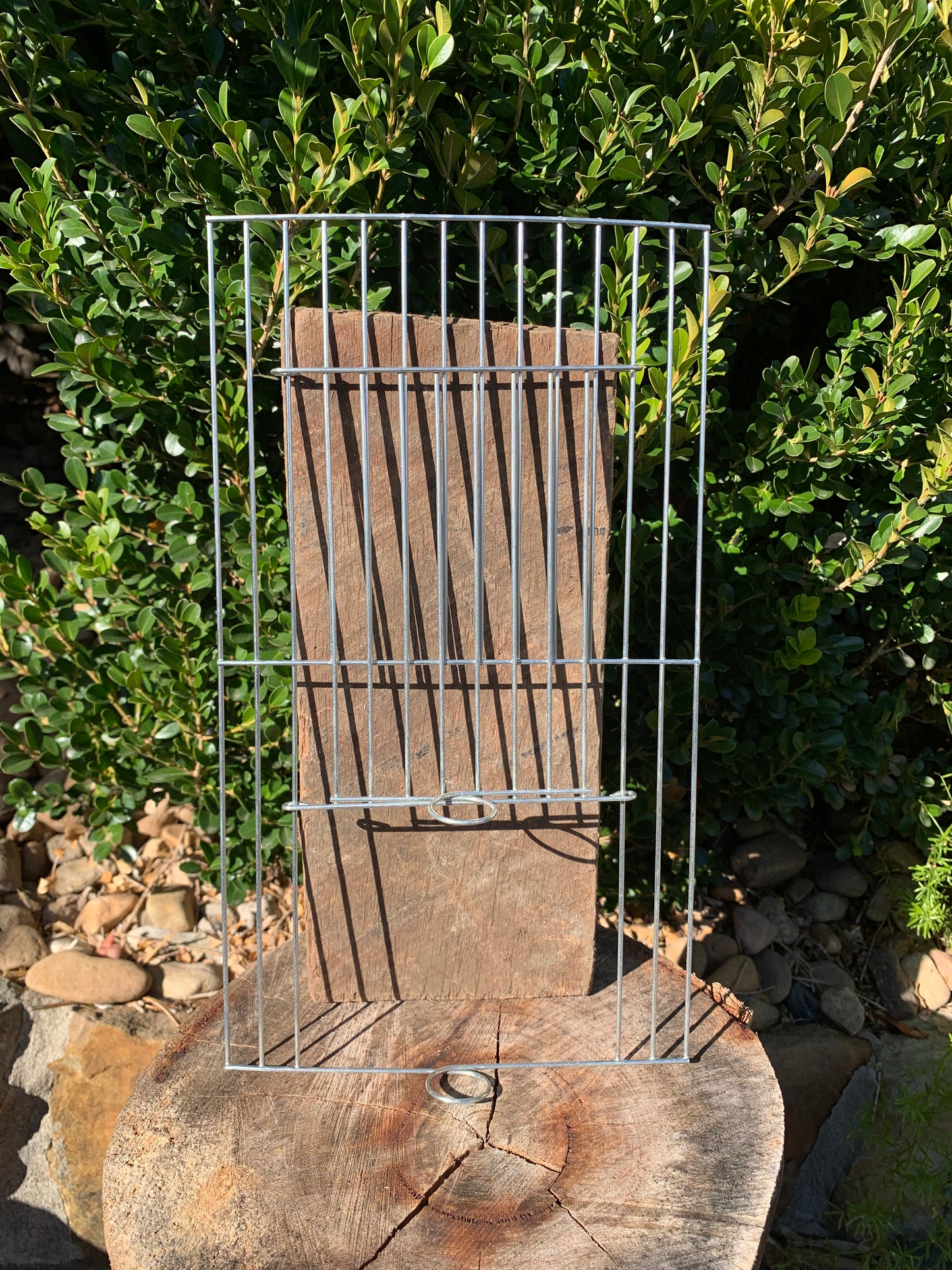 Cage Front Feeder Door