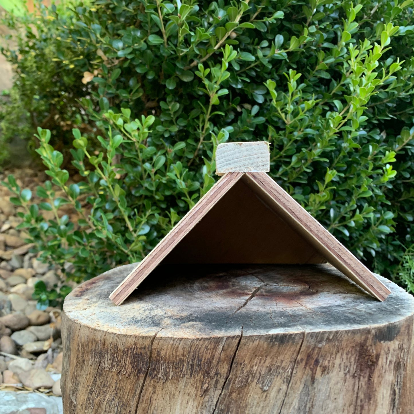 Pigeon Dove Rest Stand Perch A-Shape