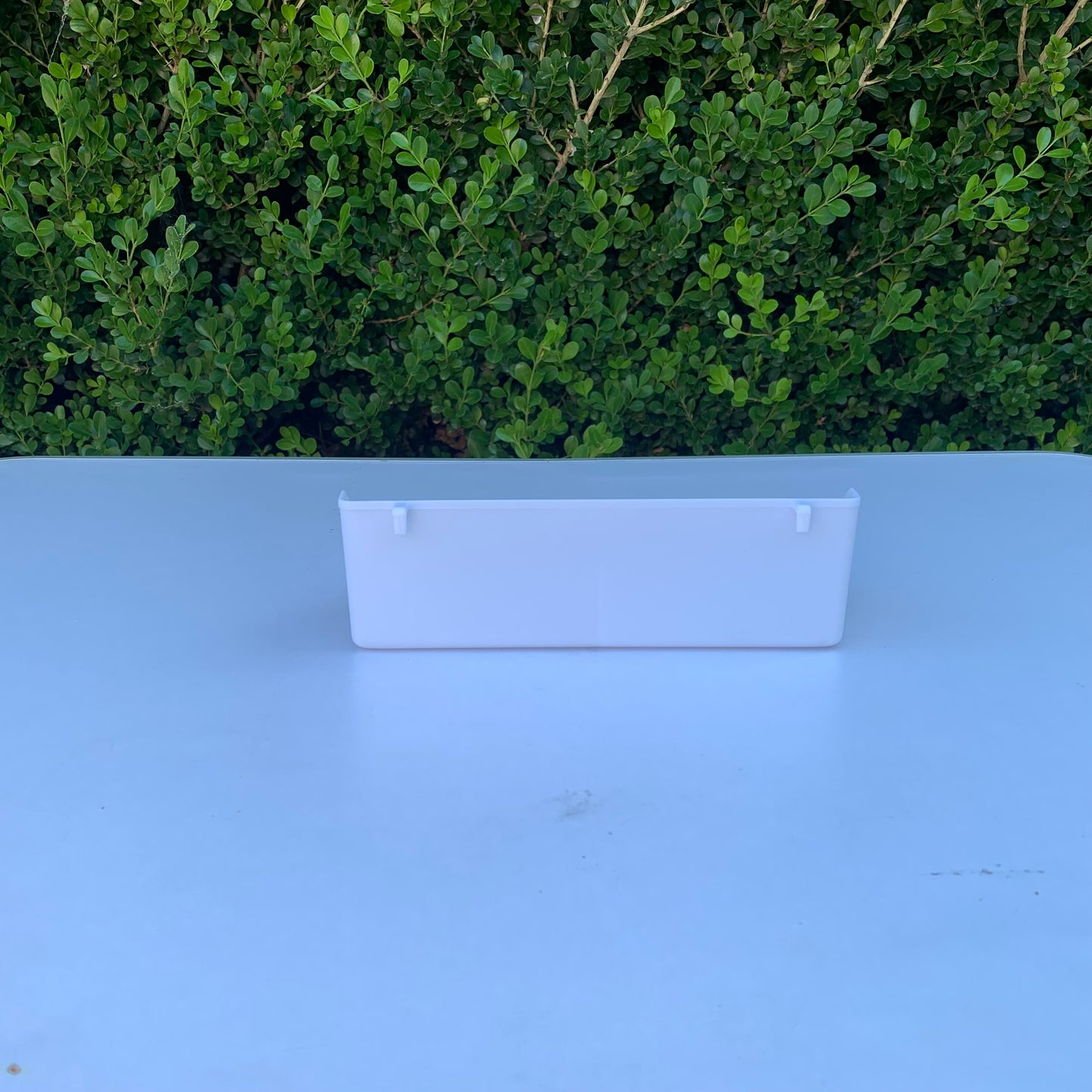 Budgie Finch Feeder with Divider and Perch