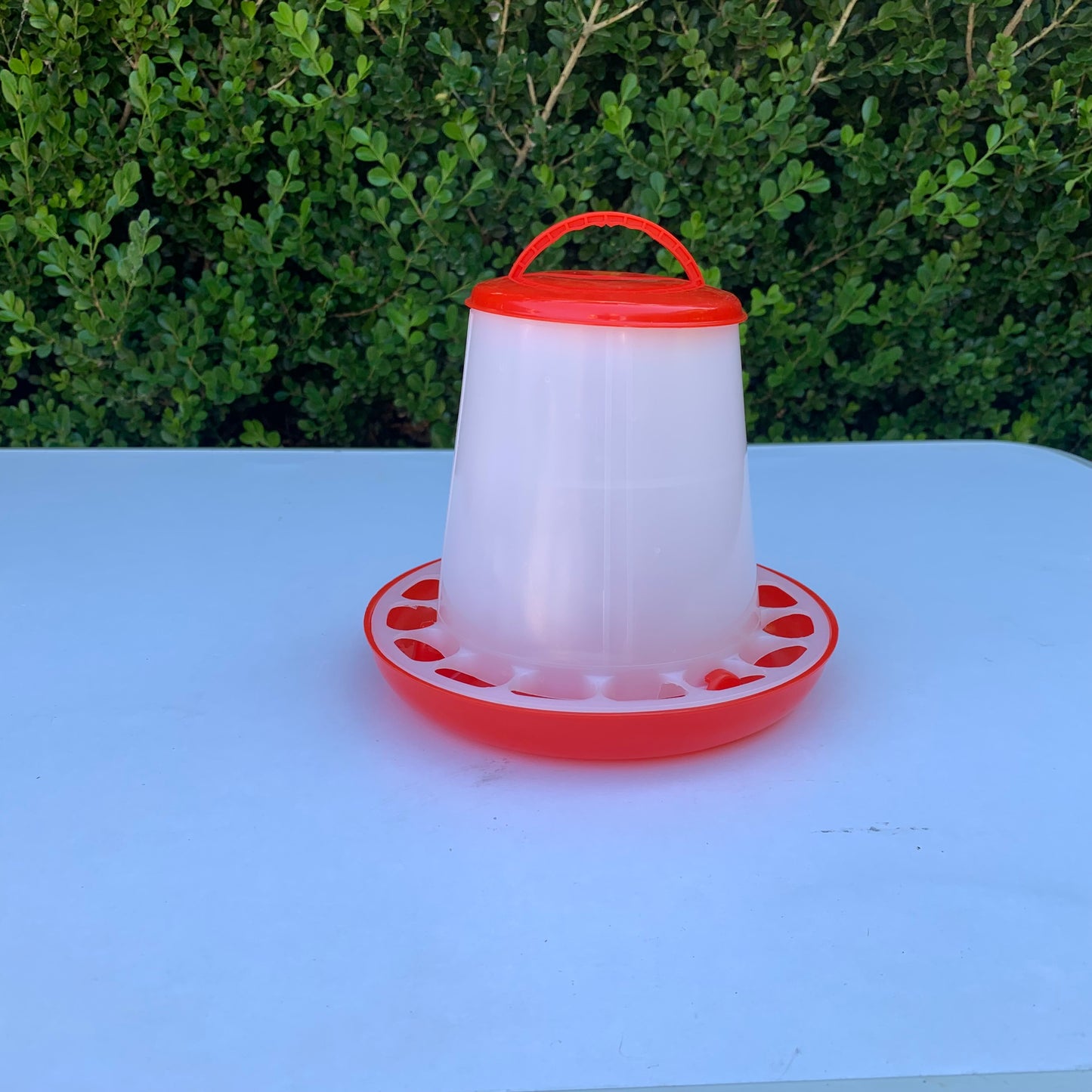 Poultry Chicken Feeder 1kg