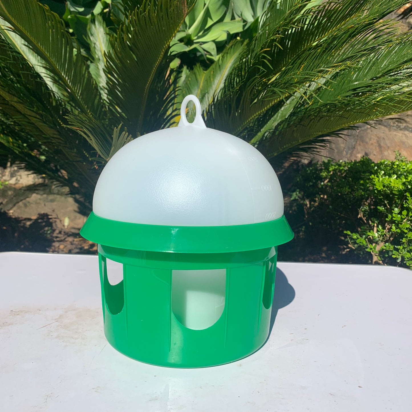 Pigeon Drinker 2.5l