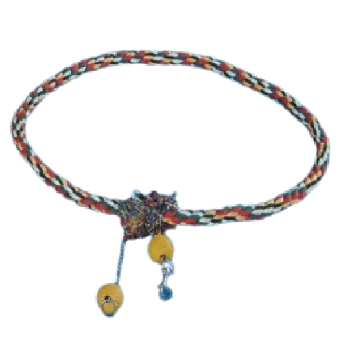 Rope Ring Swing Bird Toy