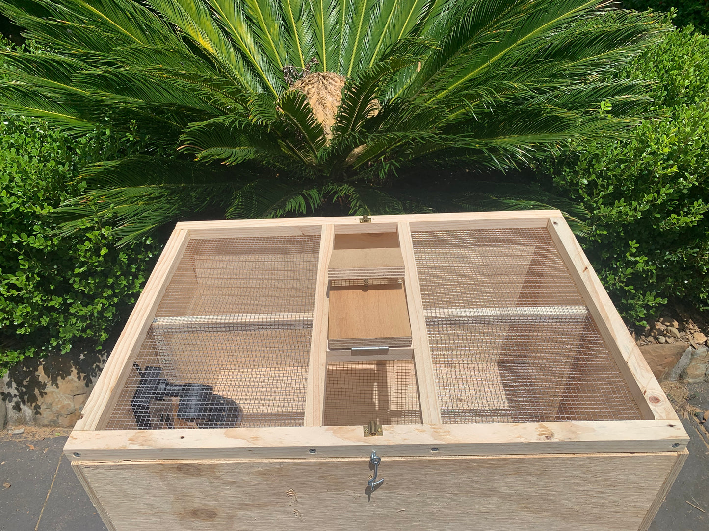 King Quail Brooder Box