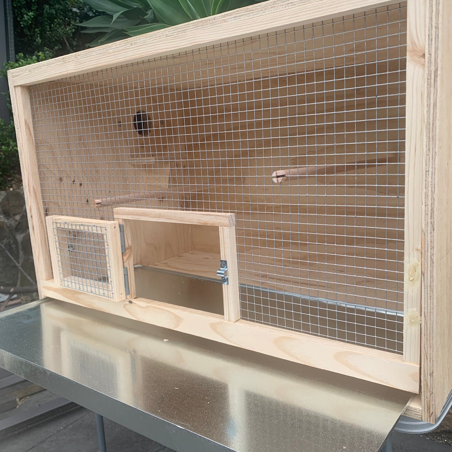 Cockatiel breeding cabinet with external nest box