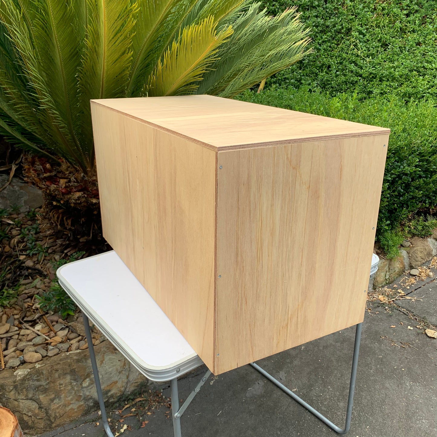 Widowhood pairing box for pigeons