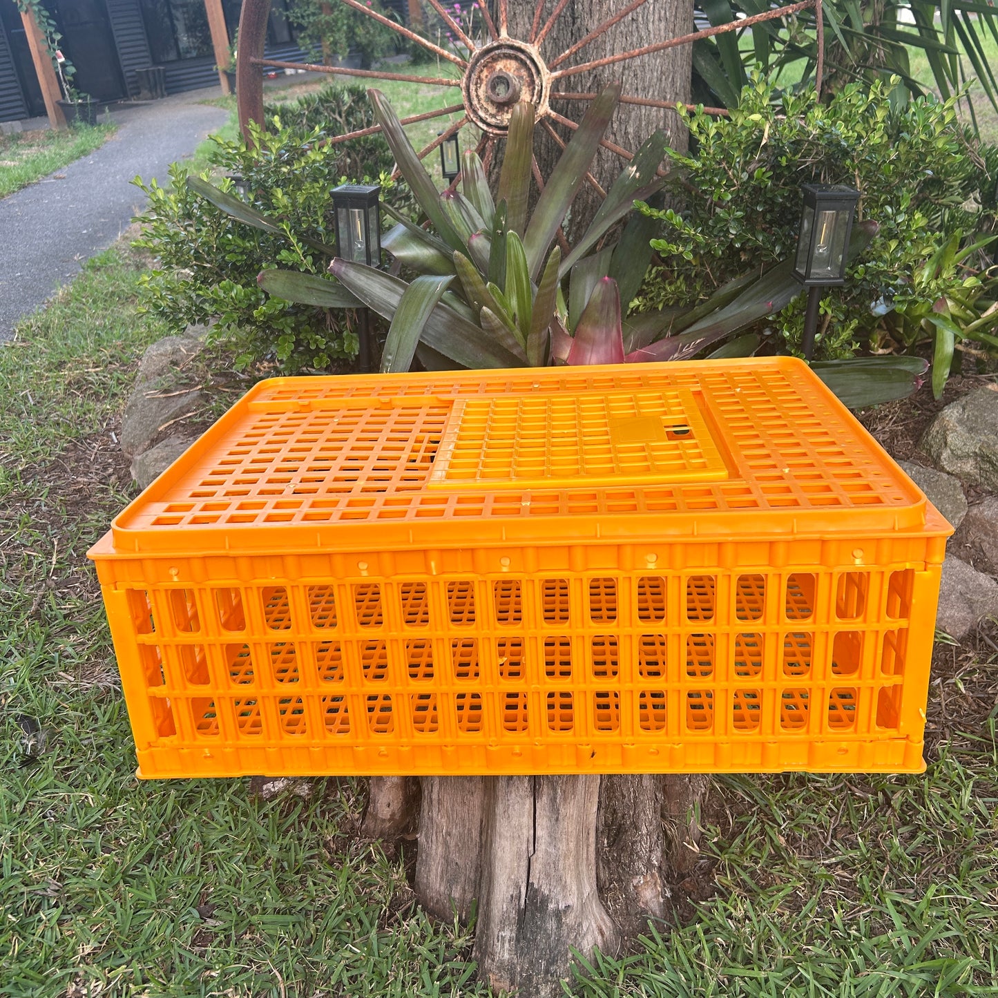 Chicken Poultry Transport Crate Heavy Duty