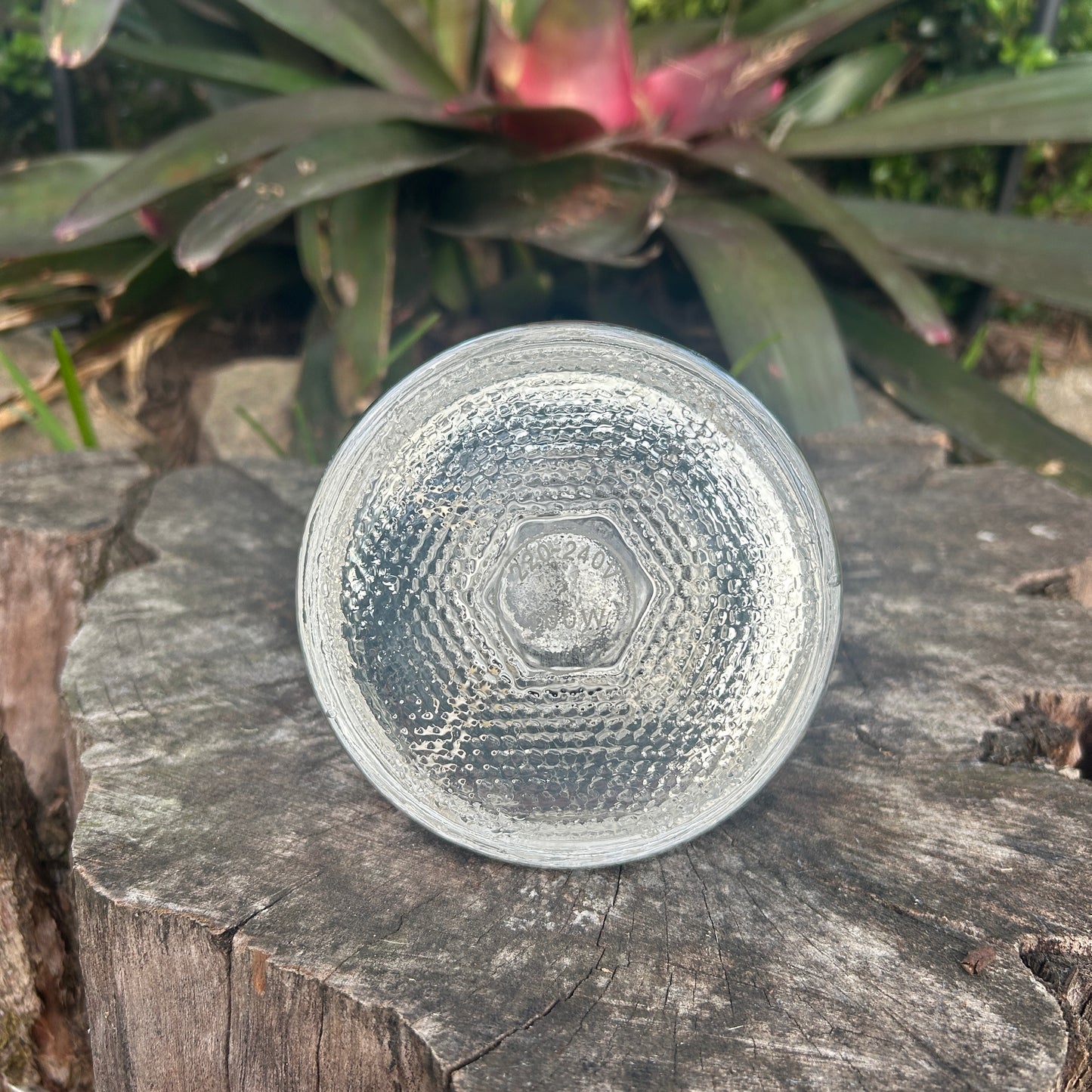 Brooder Light Bulb Infrared Or Clear 100 - 150 Watts