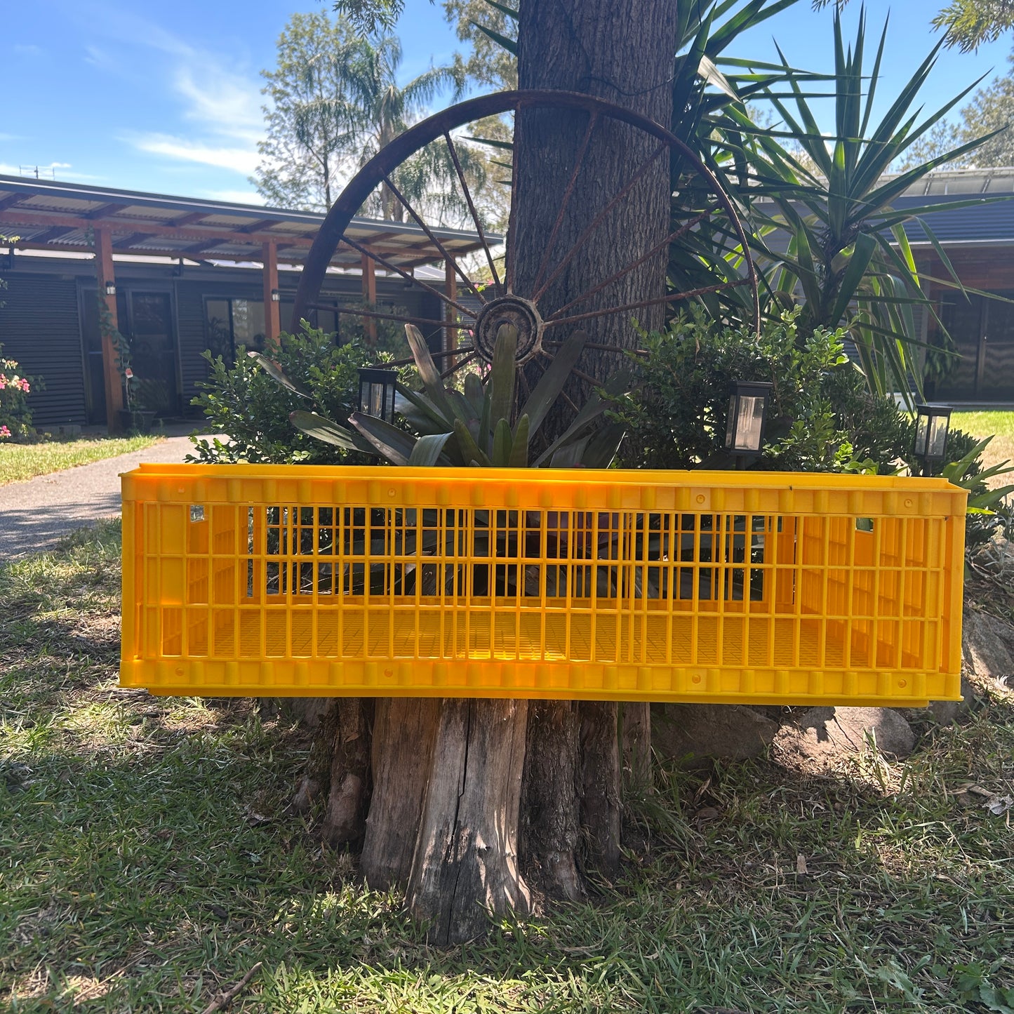 Chicken Poultry Transport Crate Heavy Duty