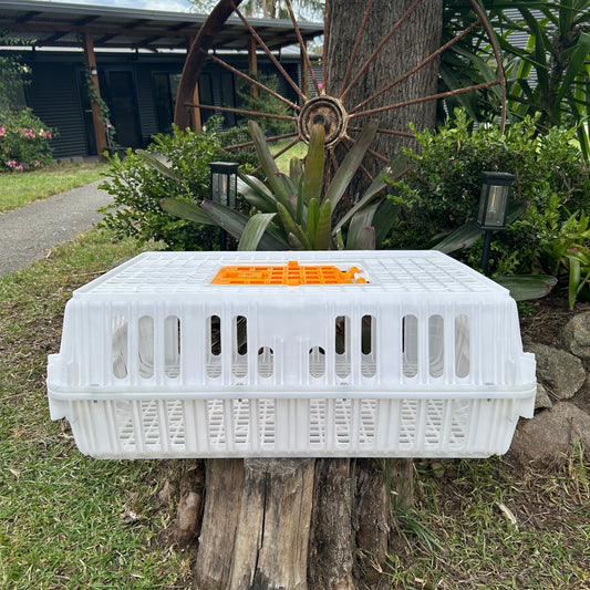 Chicken Poultry Pigeon Transport Crate White