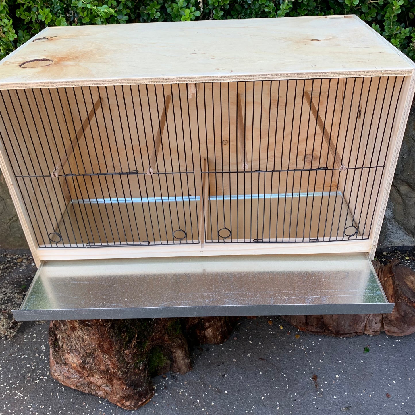 Canary breeding cabinets