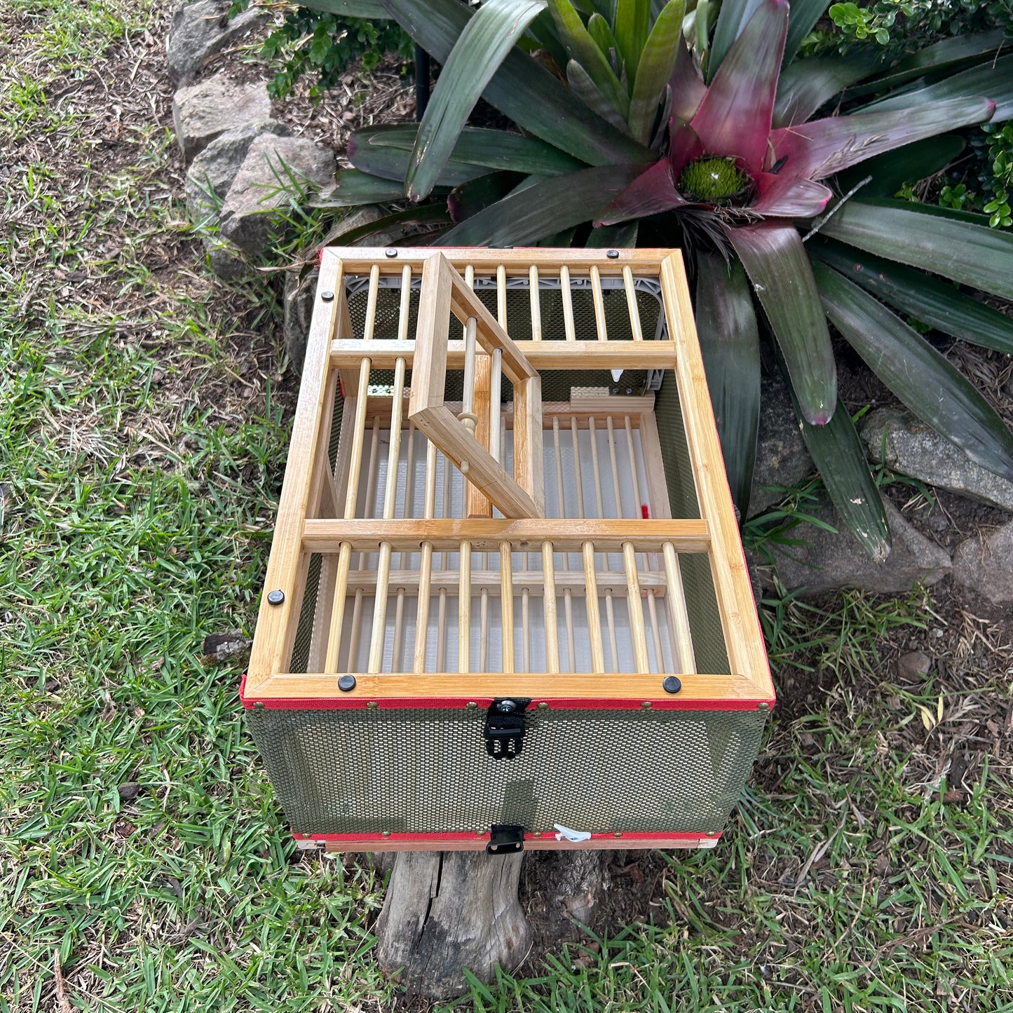 Pigeon basket wood and mesh
