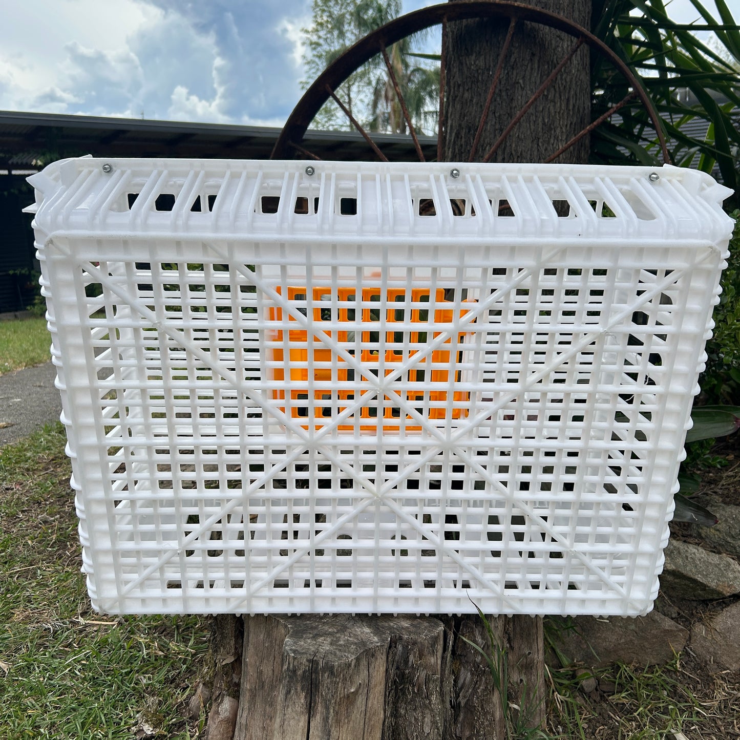 Chicken Poultry Pigeon Transport Crate White