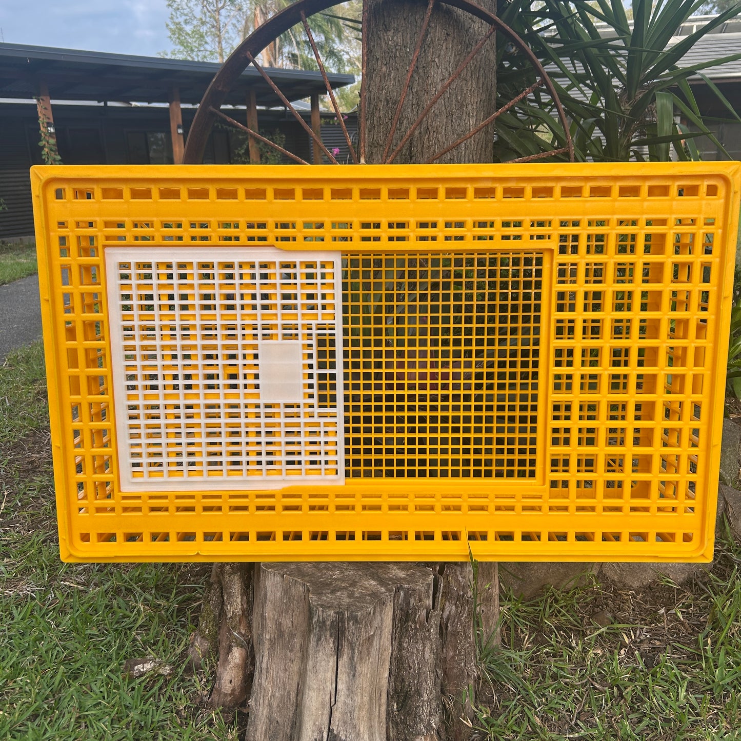 Chicken Poultry Transport Crate Heavy Duty