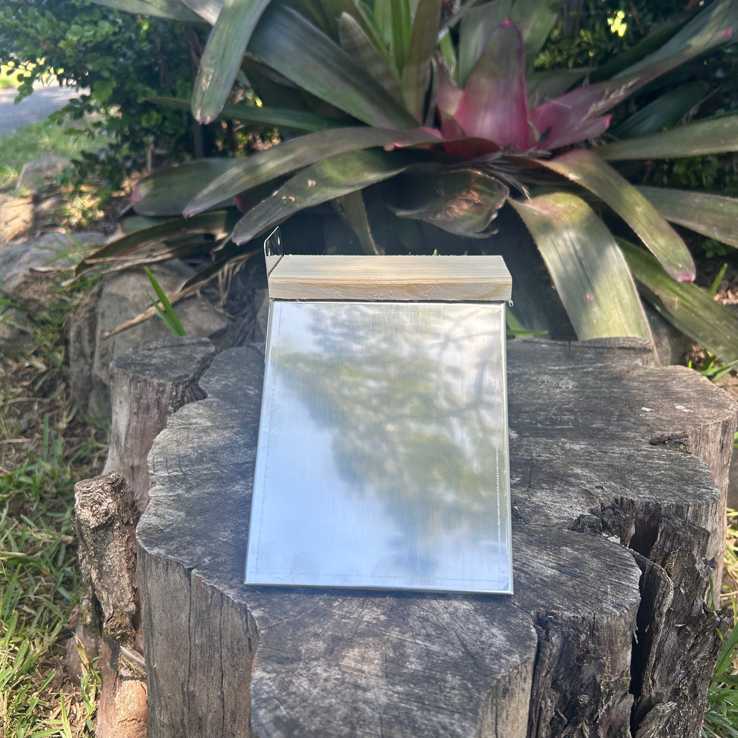 Pigeon Dove V- Perch Stainless Steel Set Of 5