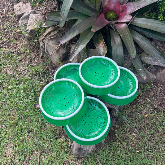 5 Pigeon Nest Bowls Plastic Green
